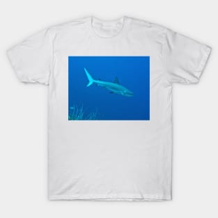 Caribbean Reef Shark T-Shirt